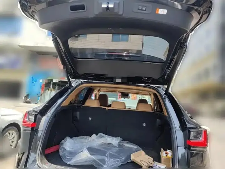 Lexus NX 2022 350h Precursor Chuangyue Edition 15