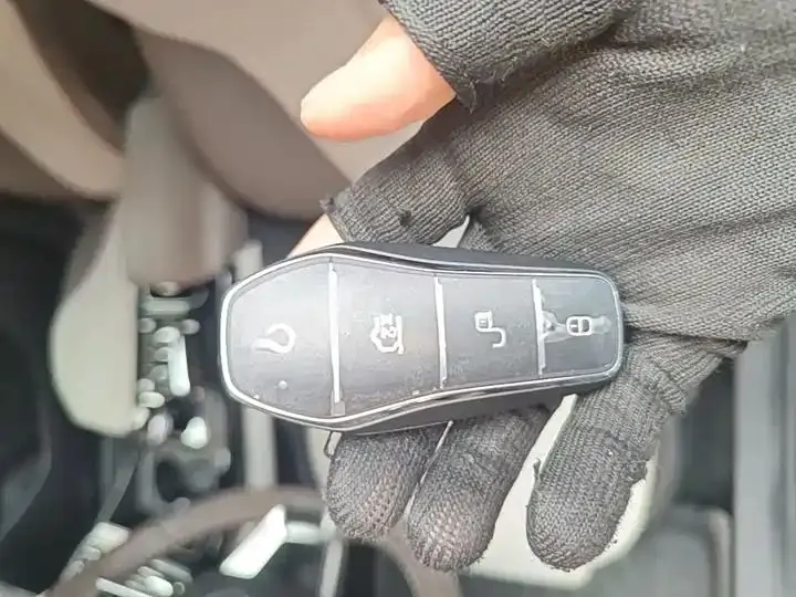 Qin PLUS 2024 Glory Edition DM-i 55KM Leading Model 9