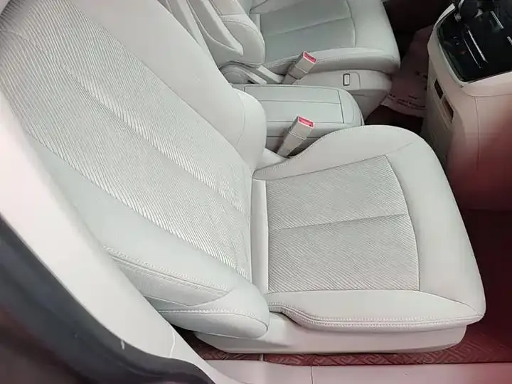 Buick GL8 2023 Land Business Class Comfort 25