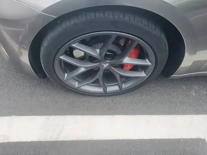 Model 3 2022 Performance high-performance all-wheel drive 24