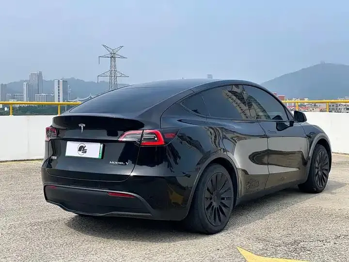 2022 Model Y Refreshed Rear-Wheel-Drive Version 4