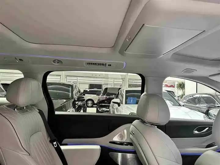 Voyah Dreamer 2025 PHEV Four-wheel Drive Flagship Kunpeng Edition 24