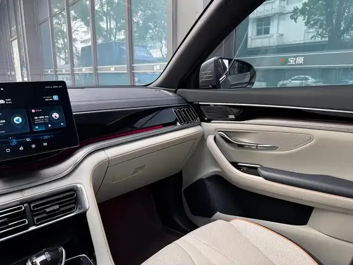 2021 Song PLUS DM-i 110KM Flagship Plus 20