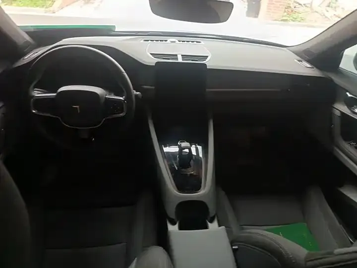 Polestar 2 2020 First Edition 13