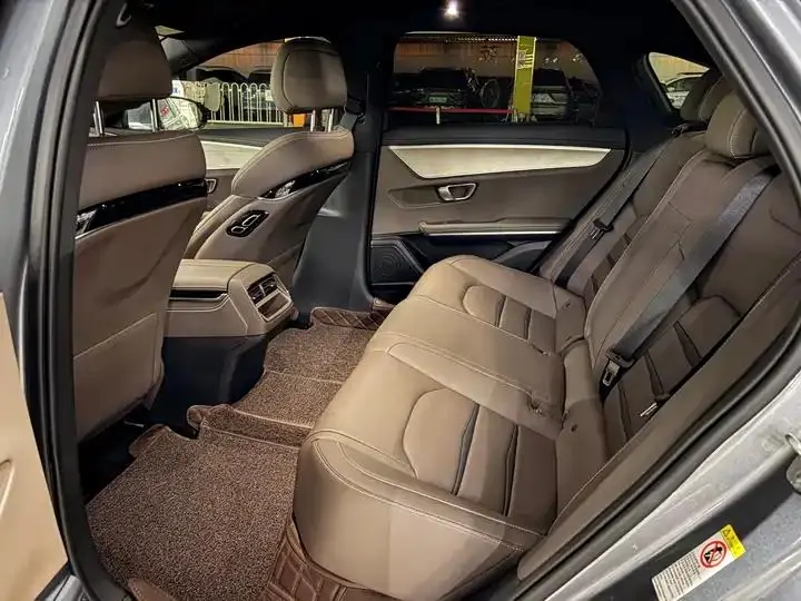 Han 2021 EV Standard Endurance Luxury Model 20