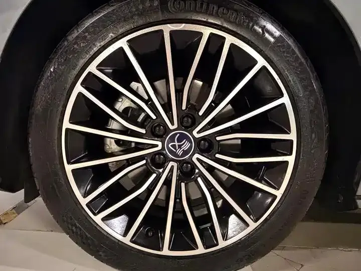 Han 2021 EV Standard Endurance Luxury Model 4