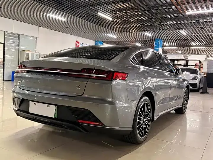 Han 2021 EV Standard Endurance Luxury Model 6