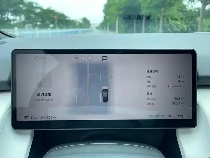 Xpeng P7 2024 Limited Edition Max 24
