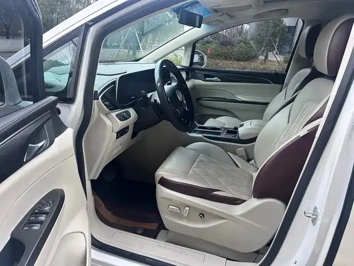 Buick GL8 2020 ES Land Noble 653T Prestige Model 10