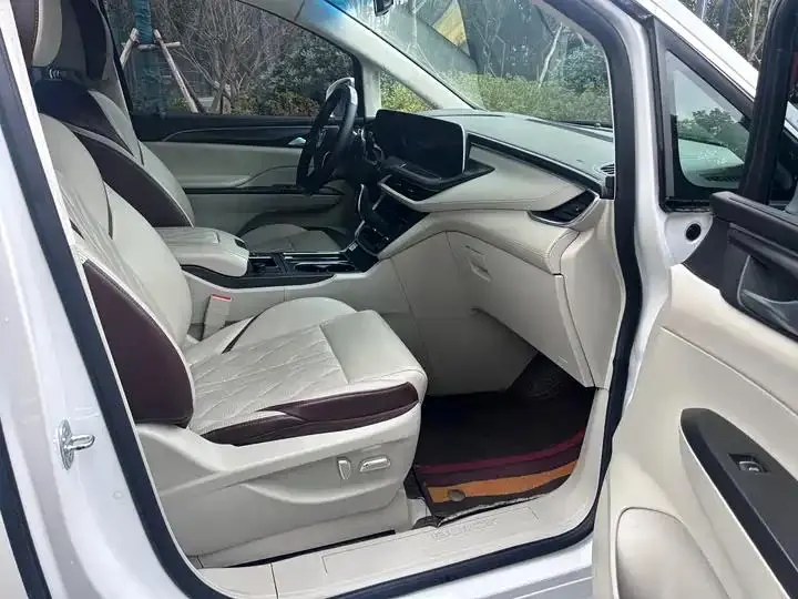 Buick GL8 2020 ES Land Noble 653T Prestige Model 13