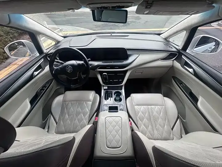 Buick GL8 2020 ES Land Noble 653T Prestige Model 19