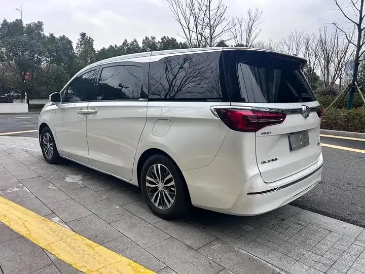 Buick GL8 2020 ES Land Noble 653T Prestige Model 4