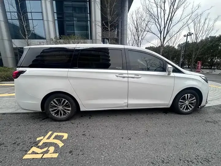 Buick GL8 2020 ES Land Noble 653T Prestige Model 7