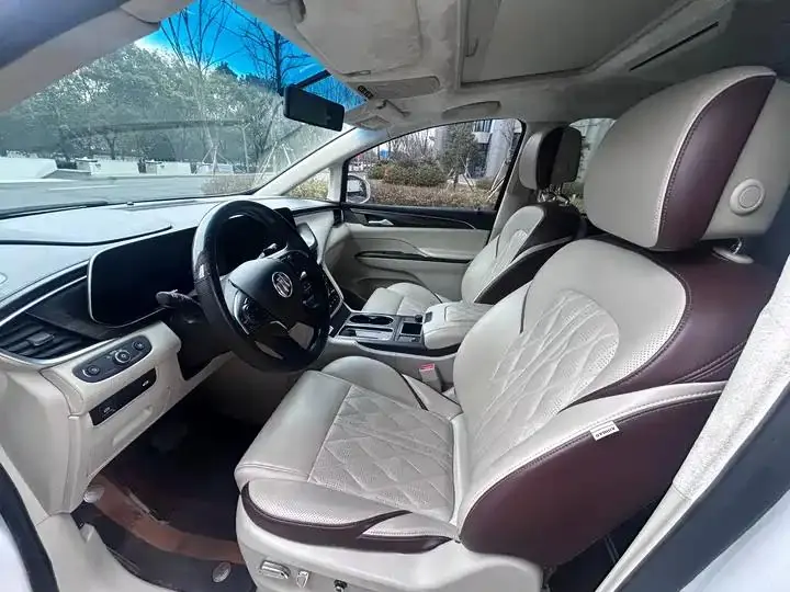 Buick GL8 2020 ES Land Noble 653T Prestige Model 9