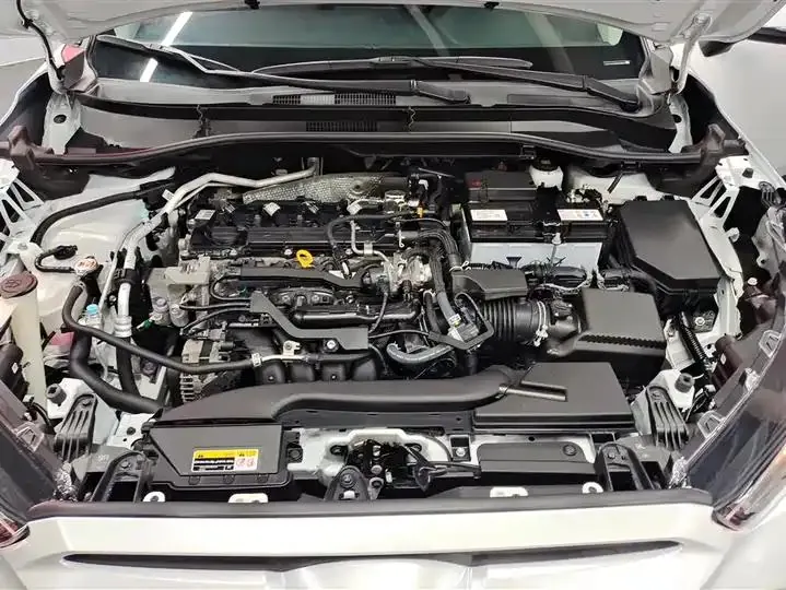 Feng Landa 2023 2.0L CVT Leading Edition 10