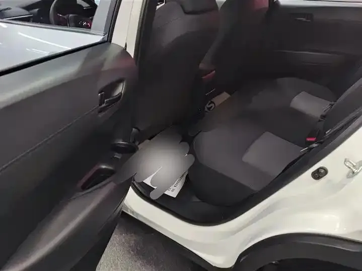 Feng Landa 2023 2.0L CVT Leading Edition 11