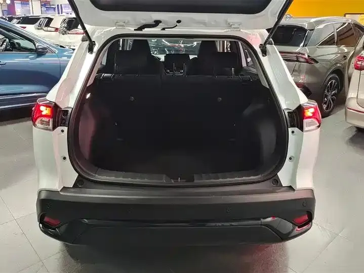 Feng Landa 2023 2.0L CVT Leading Edition 4