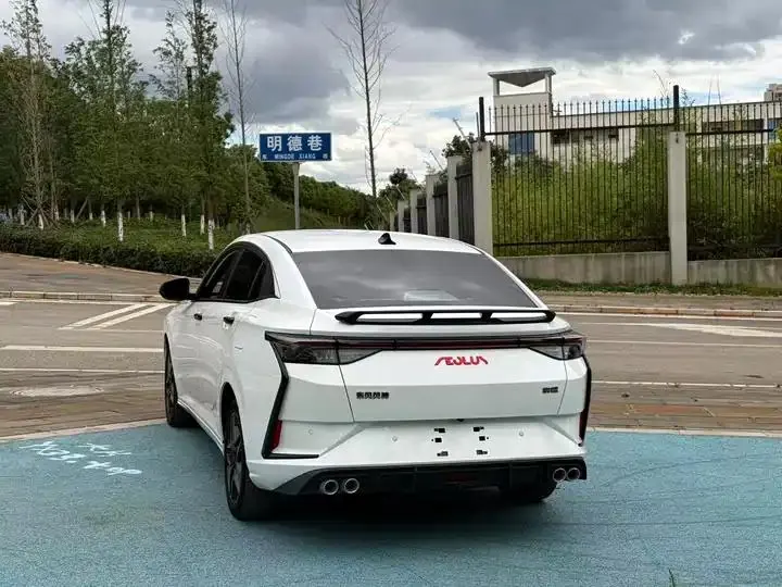 Yi Xuan 2021 230T Auto Chase Edition 10