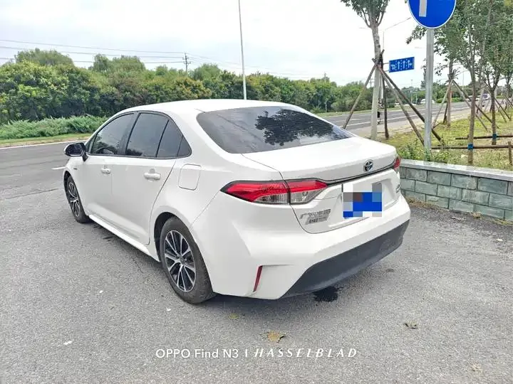 Lei Ling 2023 Intelligent Electric Mixed Double Qing 1.8L Leading Edition 6