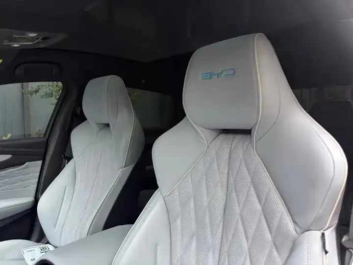 Seal 2023 Champion Edition 700km Performance Edition 11