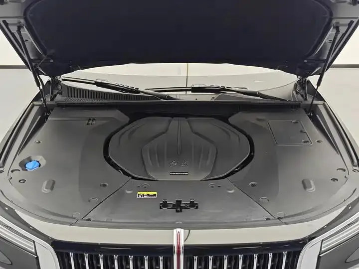 HongQi H9 2023 model 2.0T Intelligent Connected Flag Enjoyment Edition 10