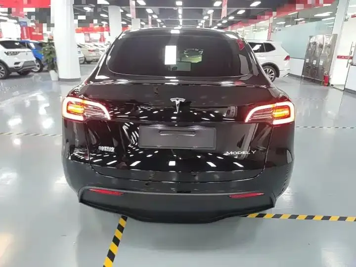 2022 Model Y Refreshed Rear-Wheel-Drive Version 4