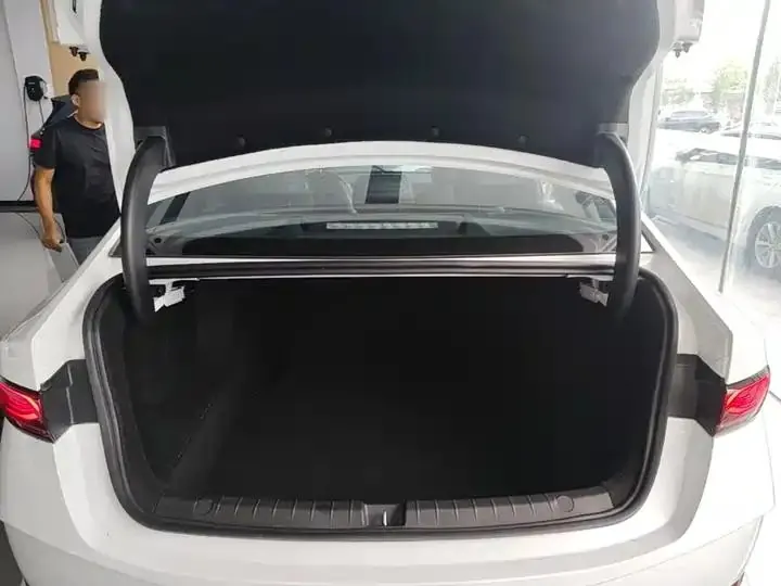 Qin PLUS 2025 DM-i Zhijia 55KM Exceed 19