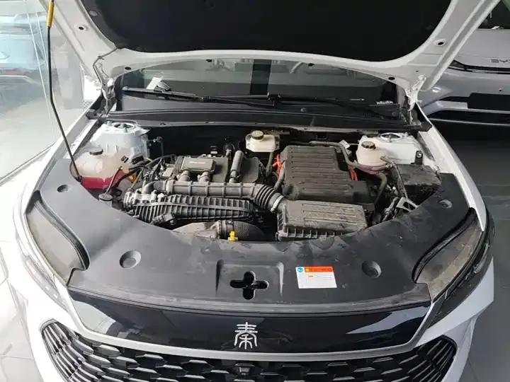 Qin PLUS 2025 DM-i Zhijia 55KM Exceed 20