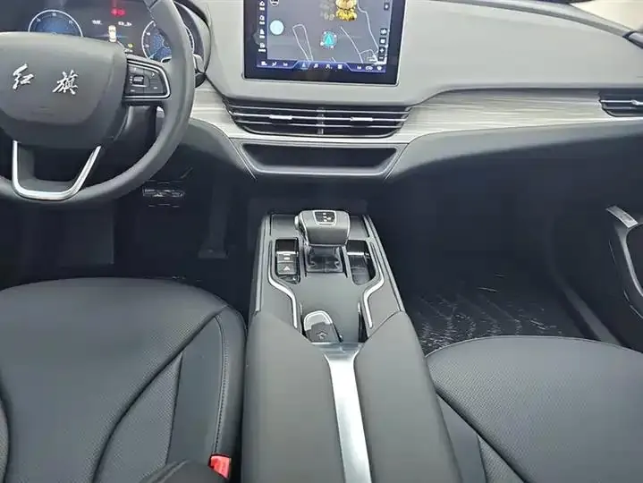HongQi E-QM5 2023 560km PLUS 16