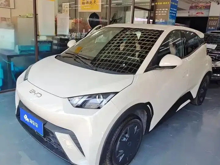 Seagull 2025 Model, 305km Range, Dynamic Edition - View 1