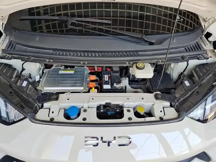 Seagull 2025 Model, 305km Range, Dynamic Edition 10