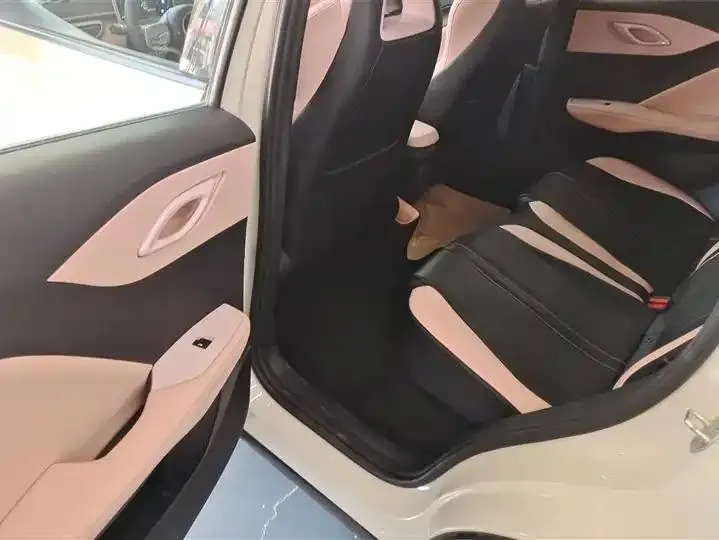 Seagull 2025 Model, 305km Range, Dynamic Edition 11