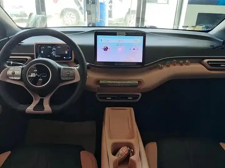 Seagull 2025 Model, 305km Range, Dynamic Edition 12