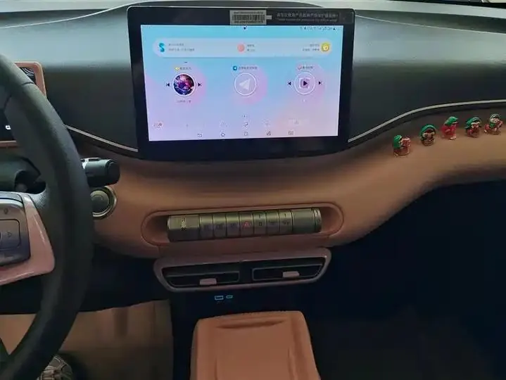 Seagull 2025 Model, 305km Range, Dynamic Edition 13