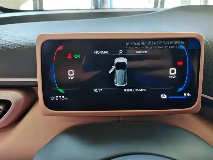 Seagull 2025 Model, 305km Range, Dynamic Edition 14