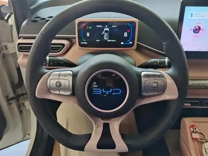 Seagull 2025 Model, 305km Range, Dynamic Edition 15