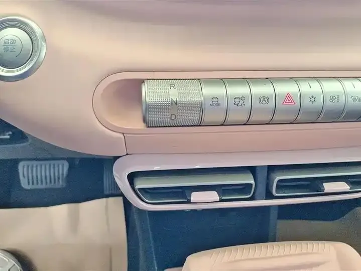 Seagull 2025 Model, 305km Range, Dynamic Edition 16