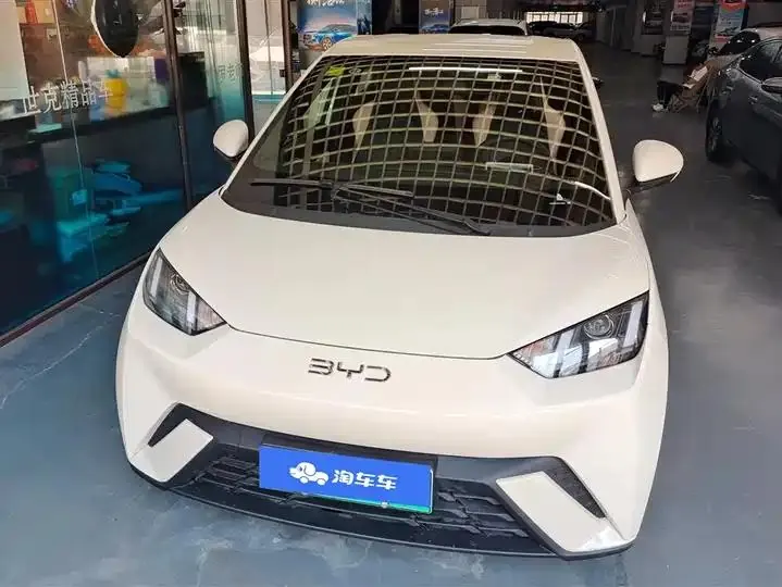 Seagull 2025 Model, 305km Range, Dynamic Edition 2