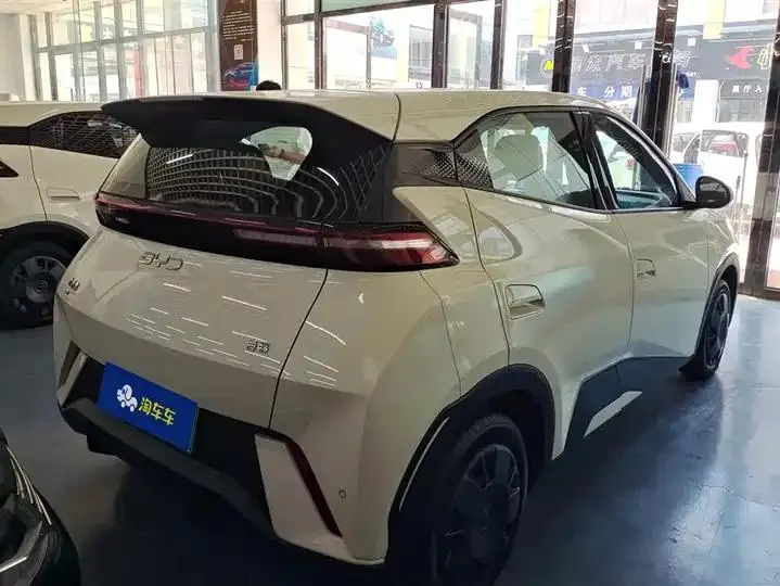 Seagull 2025 Model, 305km Range, Dynamic Edition 3