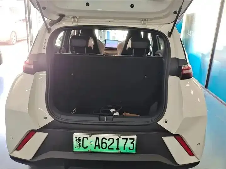 Seagull 2025 Model, 305km Range, Dynamic Edition 4