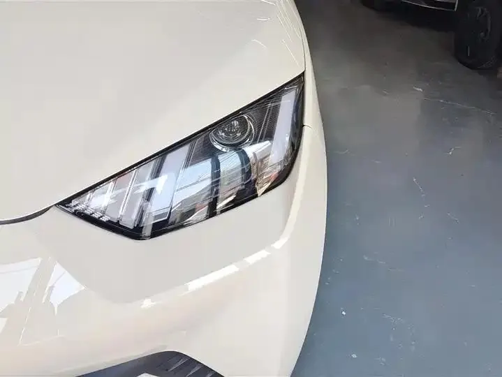 Seagull 2025 Model, 305km Range, Dynamic Edition 5
