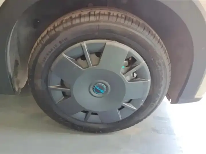 Seagull 2025 Model, 305km Range, Dynamic Edition 6