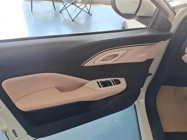 Seagull 2025 Model, 305km Range, Dynamic Edition 7