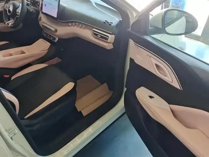 Seagull 2025 Model, 305km Range, Dynamic Edition 8