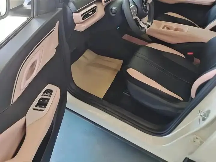 Seagull 2025 Model, 305km Range, Dynamic Edition 9