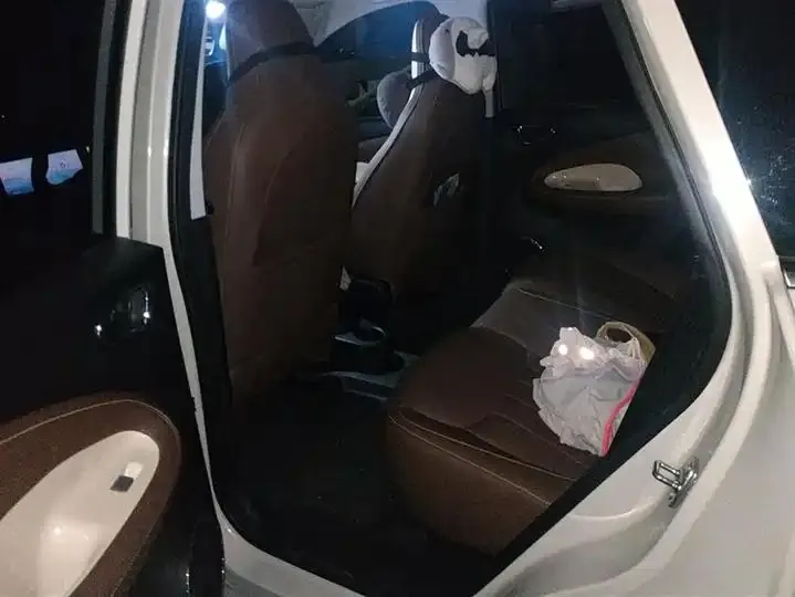 WuLing Plantronics 2023 333km LingBox Connected 11