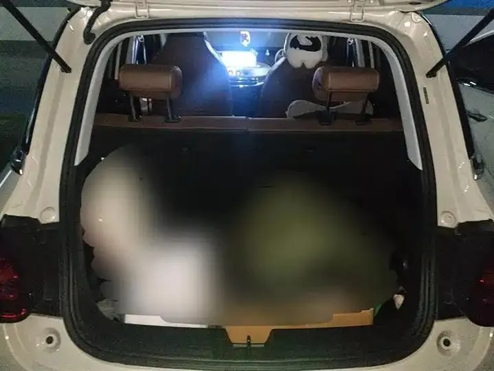 WuLing Plantronics 2023 333km LingBox Connected 4