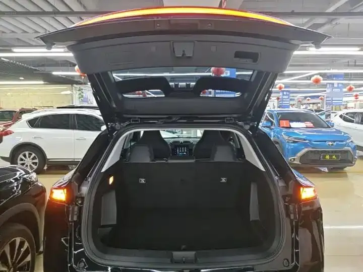 SKY EV01 2024 530km PRO 19