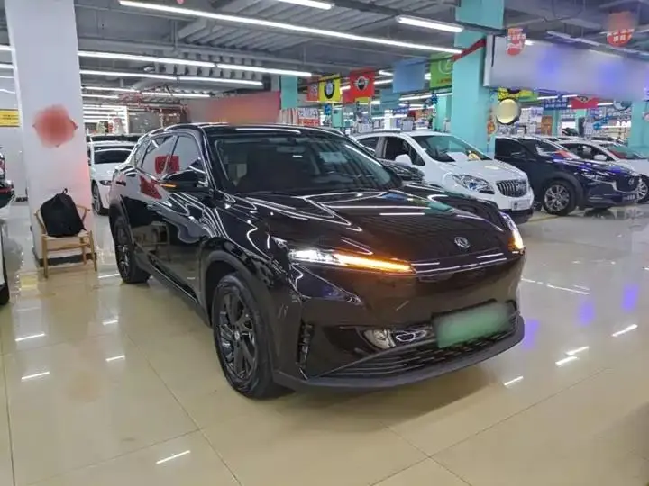 SKY EV01 2024 530km PRO 4