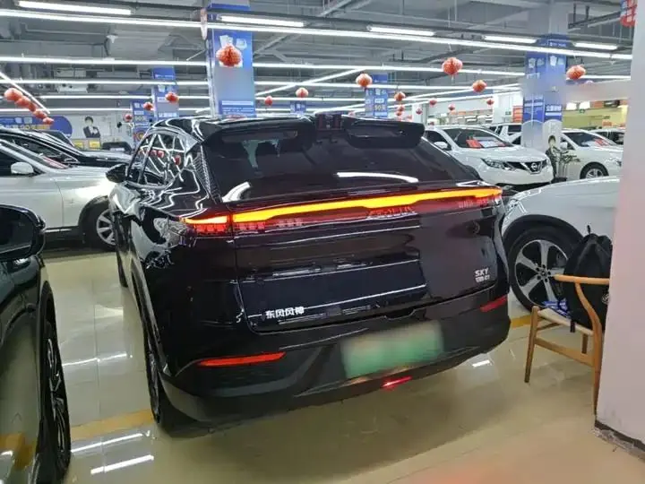 SKY EV01 2024 530km PRO 5